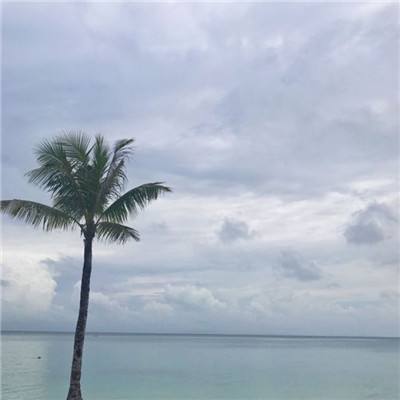 小米游戏乱世三国志下载
