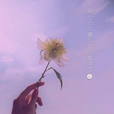 崩坏战纪bt私服下载